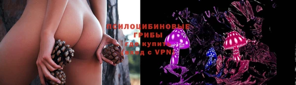 героин Алзамай
