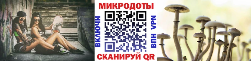 Псилоцибиновые грибы Psilocybine cubensis  Спасск-Дальний 