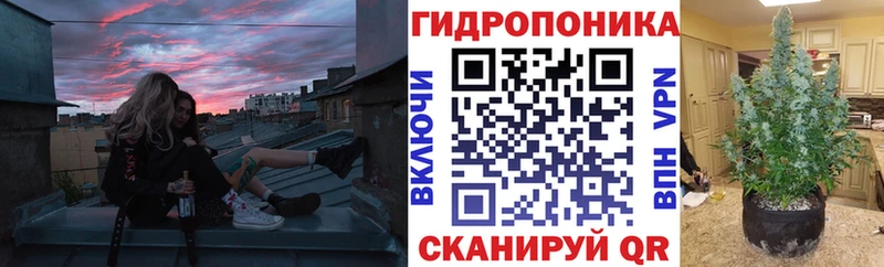 Каннабис план  Спасск-Дальний 